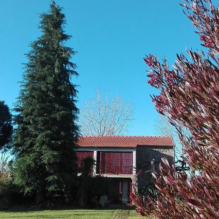 Casa Do Cruzeiro Guest House Paredes de Coura Eksteriør bilde