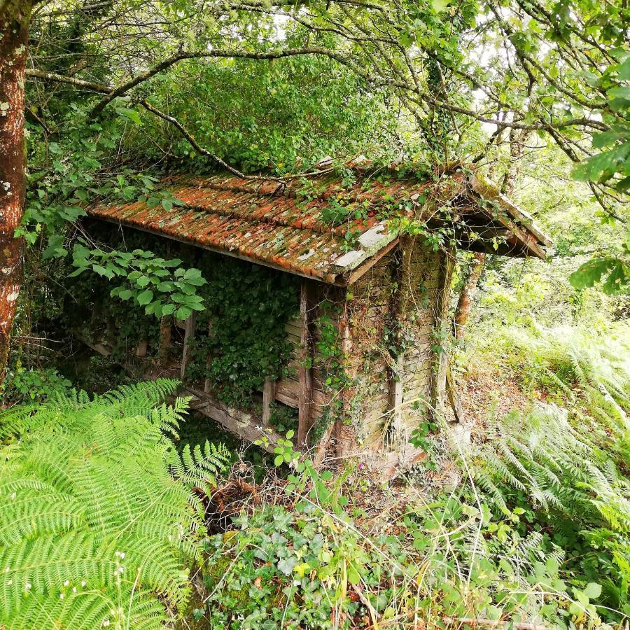 Casa Do Cruzeiro Guest House Paredes de Coura Eksteriør bilde